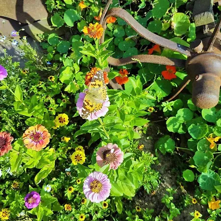 Muellers Hof Ferienwohnung/pension