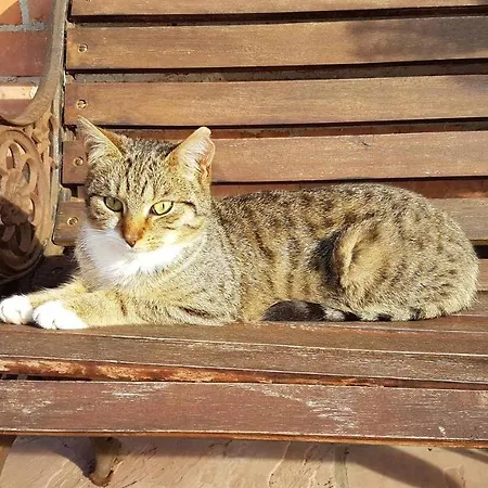 Muellers Hof Ferienwohnung/pension Emmerthal