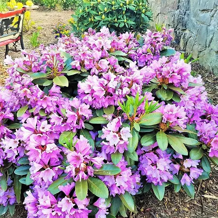 Appartement Muellers Hof Ferienwohnung/pension Emmerthal