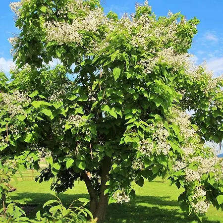 Muellers Hof Ferienwohnung/pension Appartement