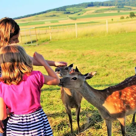Muellers Hof Ferienwohnung/pension