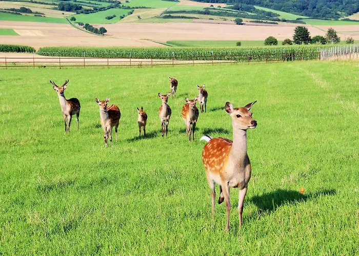 Muellers Hof Ferienwohnung/pension Apartament *