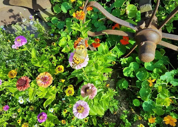 Muellers Hof Ferienwohnung/pension