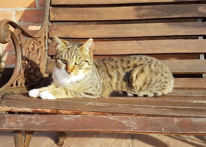 Muellers Hof Ferienwohnung/pension Emmerthal