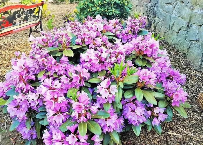 Apartament Muellers Hof Ferienwohnung/pension Emmerthal