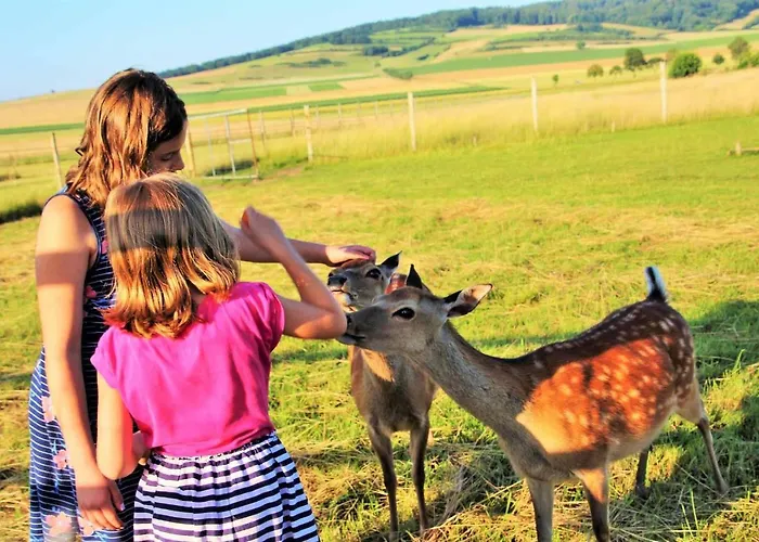 Muellers Hof Ferienwohnung/pension